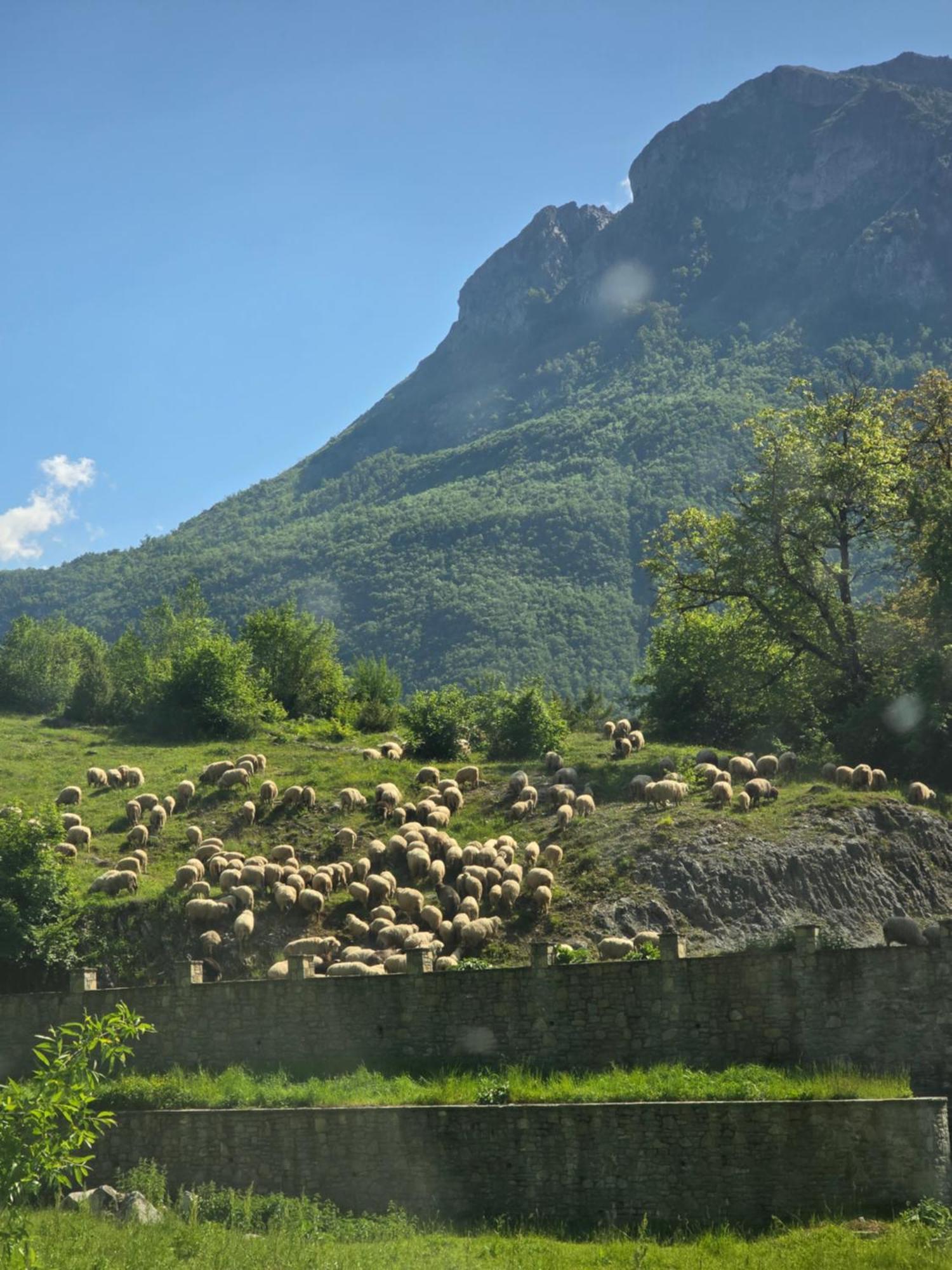 Prokletije Eko Katun Vusanje Brvnara *